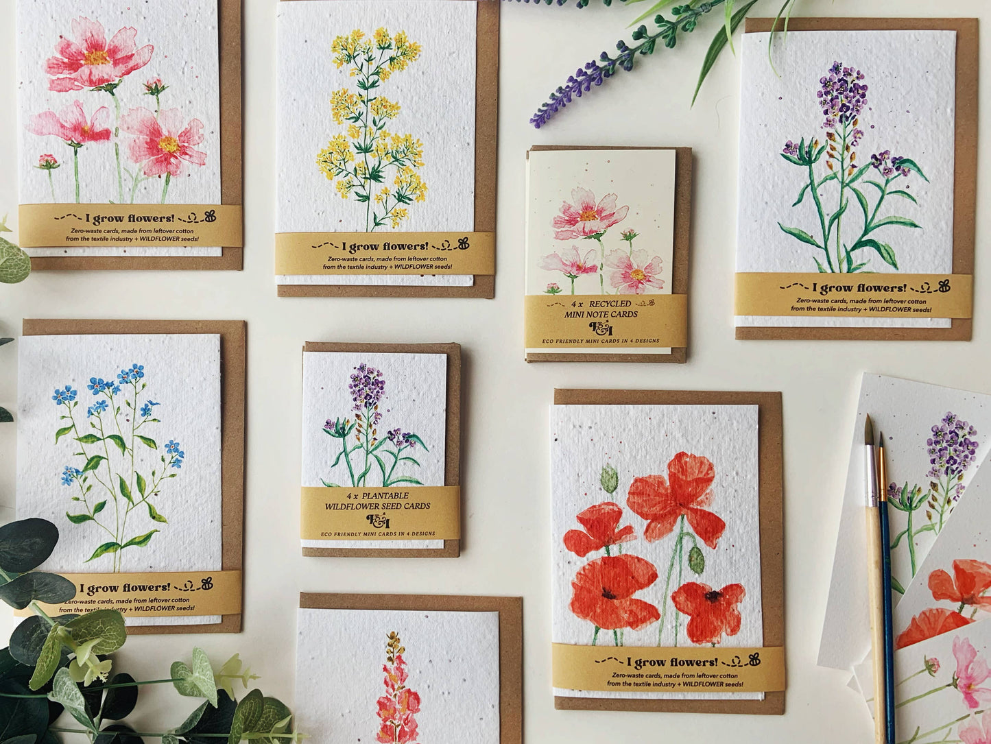 Forget Me Nots | Wildflower Seed Plantable Card