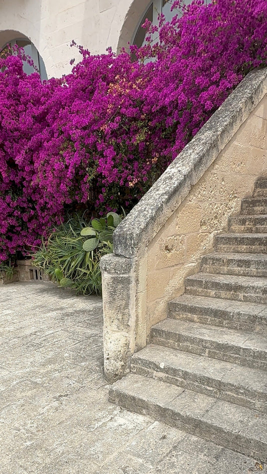 Day 1 - Arriving in Puglia