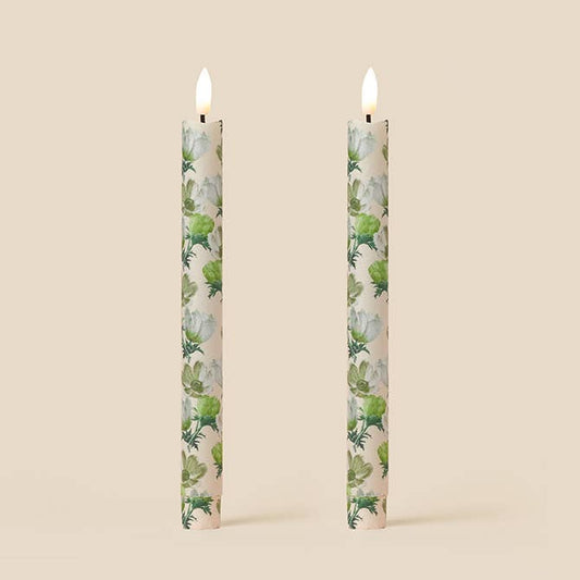 Anemone Flameless LED Wax Candles: Parchment Green
