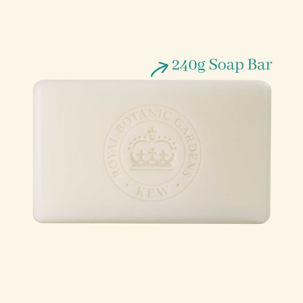 Kew Gardens Fig and Grape Soap
